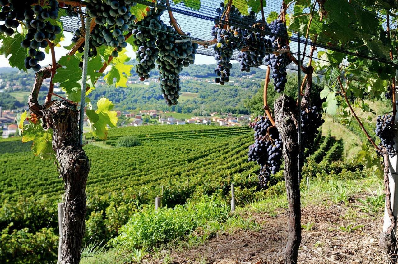 Monte San Giorgio *